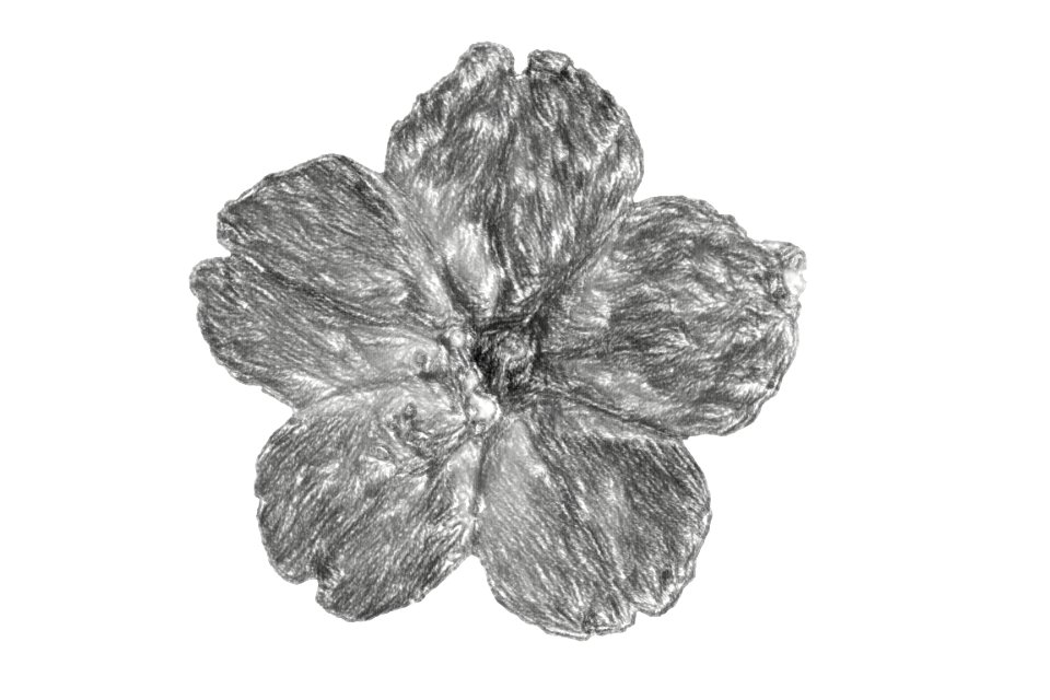 crayon black white