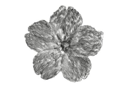 crayon black white