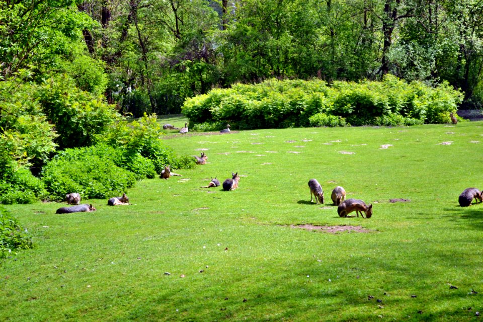 tierpark
