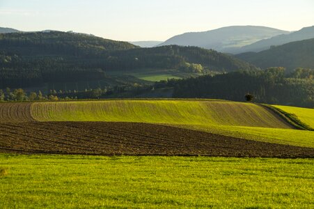 Winter sowing mountains sauerland photo