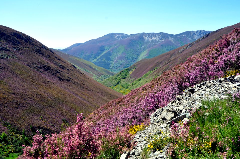 Valle del arroyo de Couso
