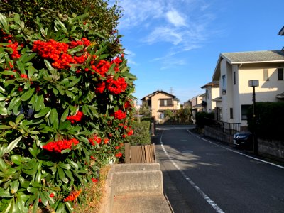 Koyodai in Inagi-shi