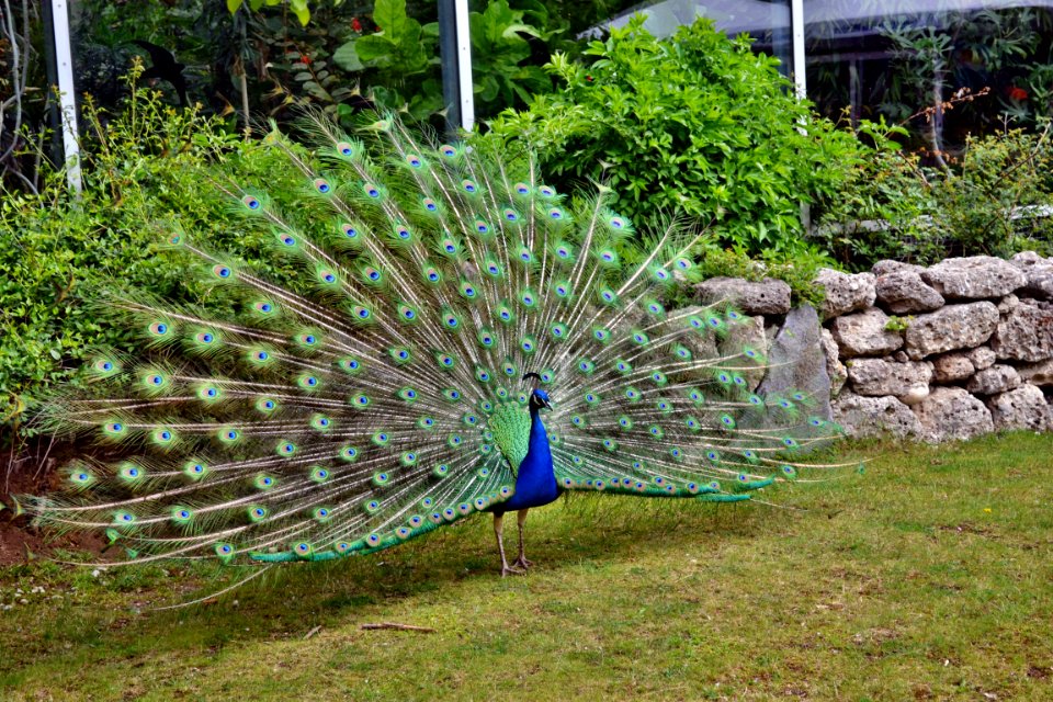 tierpark