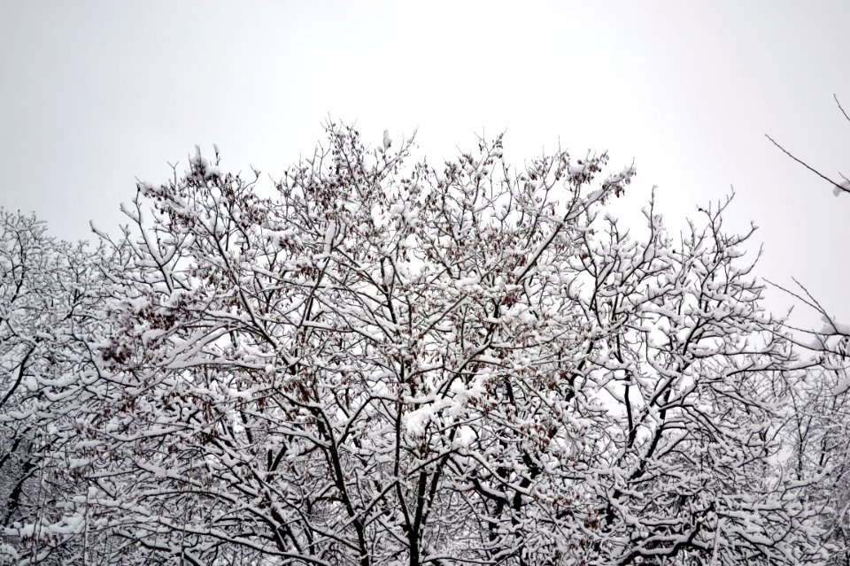 December 28, 2014