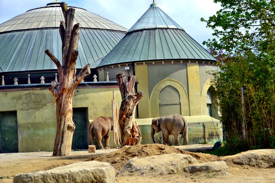 tierpark