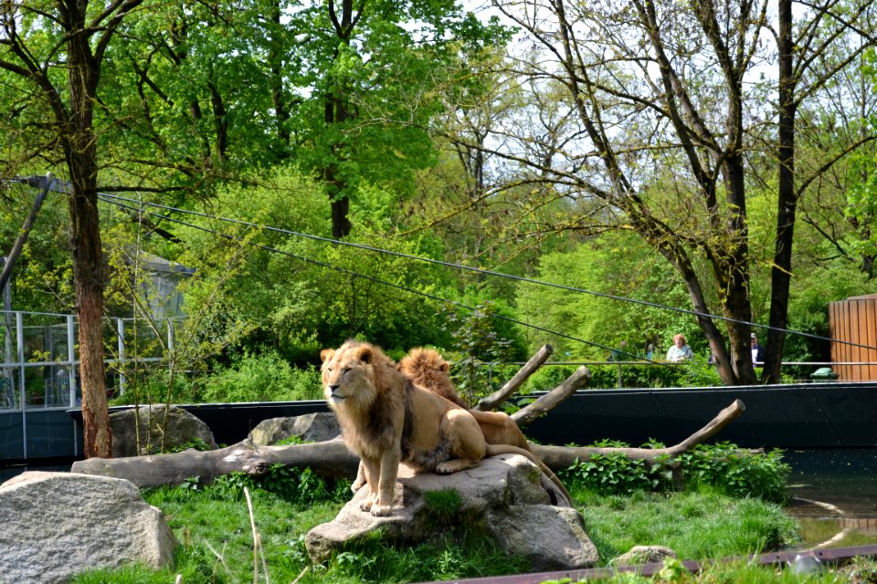 tierpark