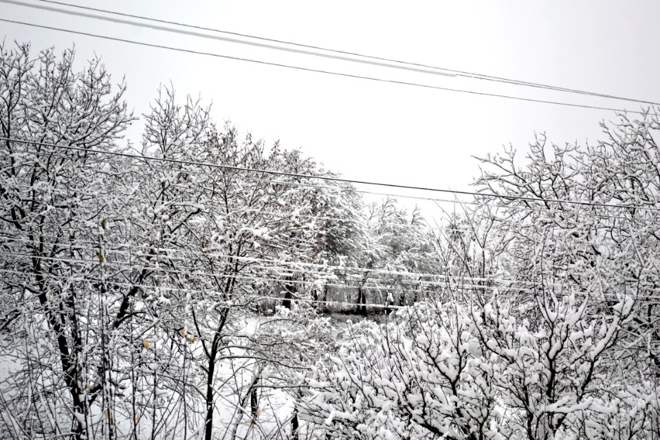 December 28, 2014