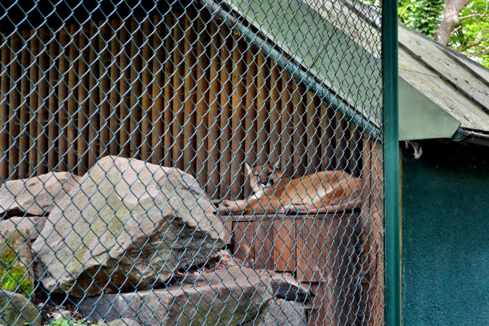 tierpark