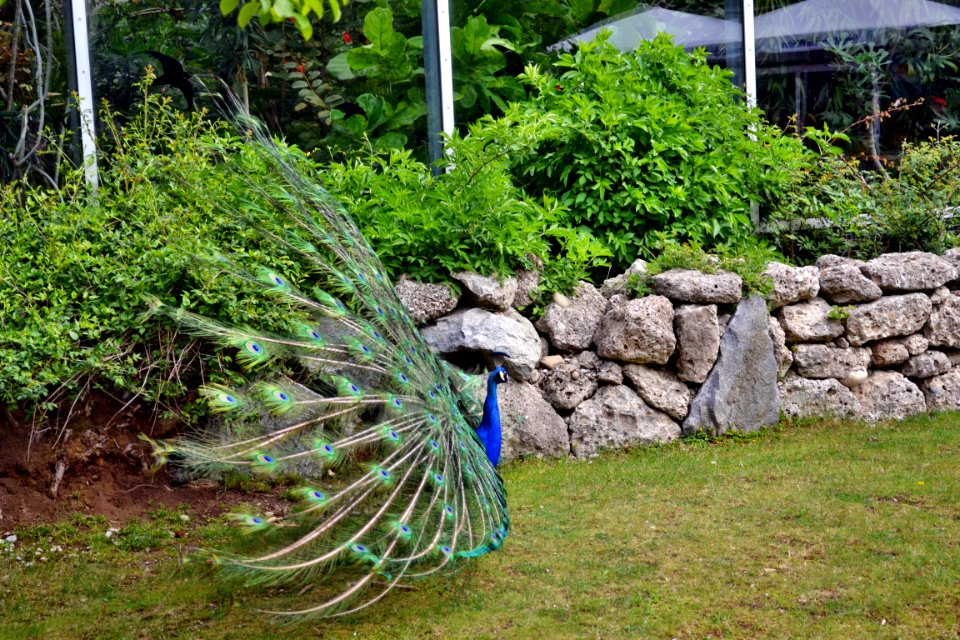 tierpark