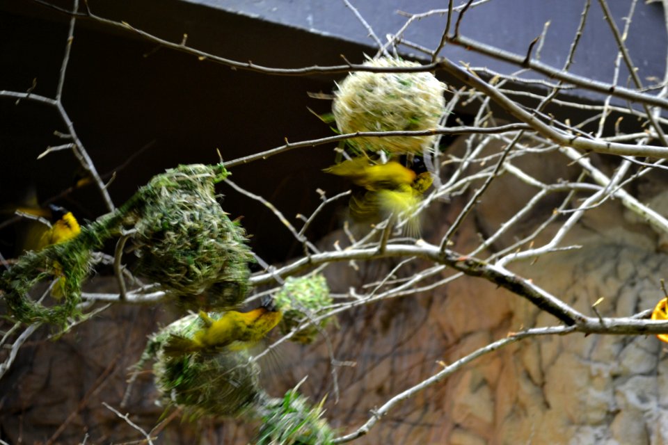tierpark