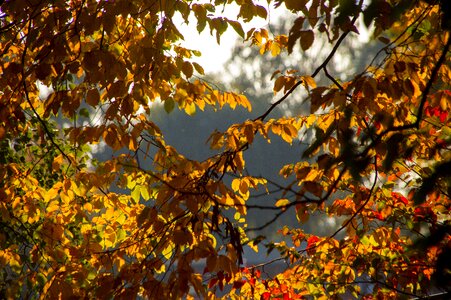 Colorful color nature