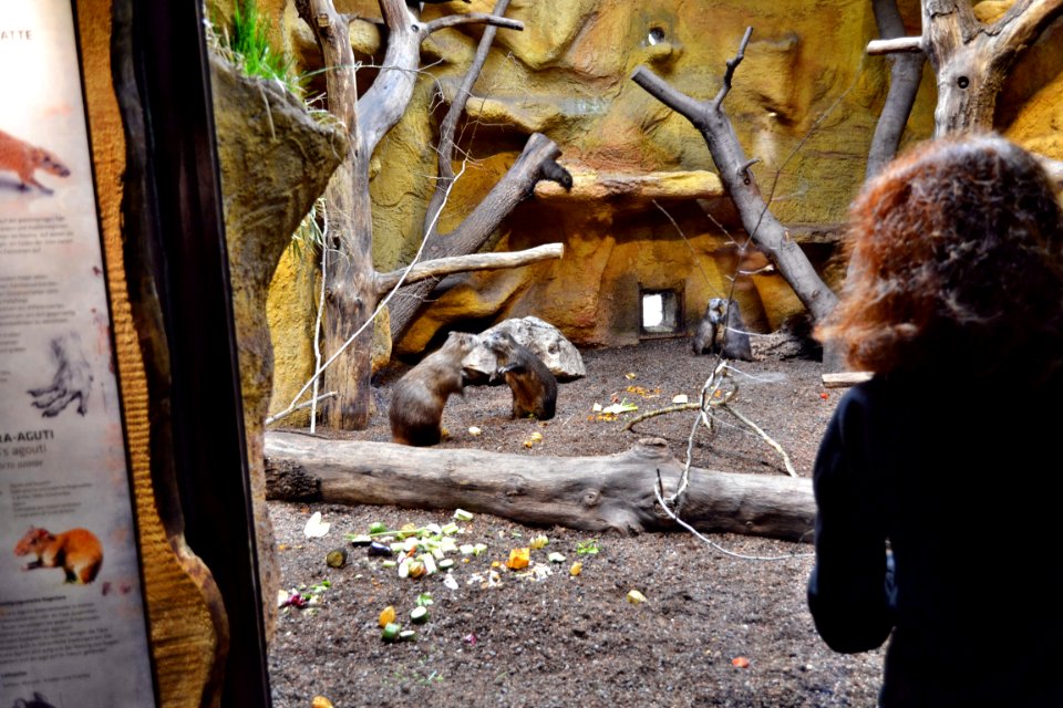 tierpark