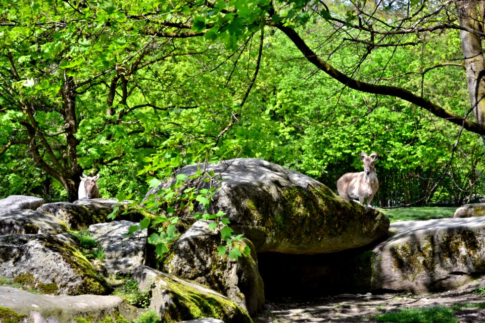 tierpark