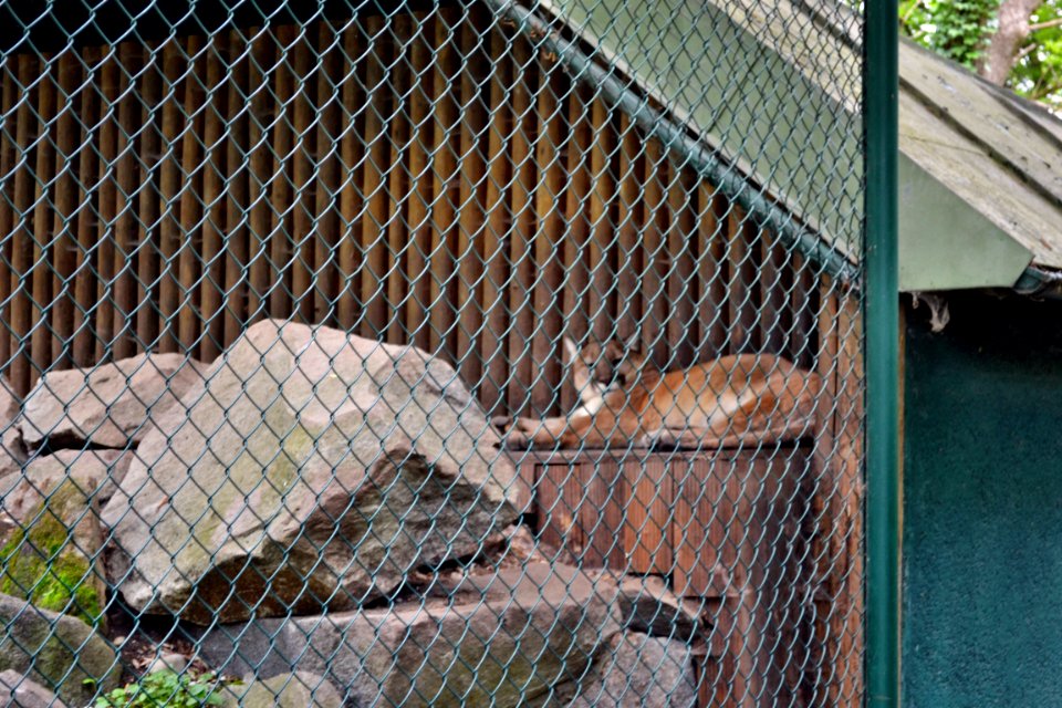 tierpark