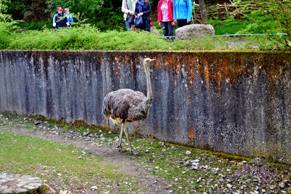 tierpark