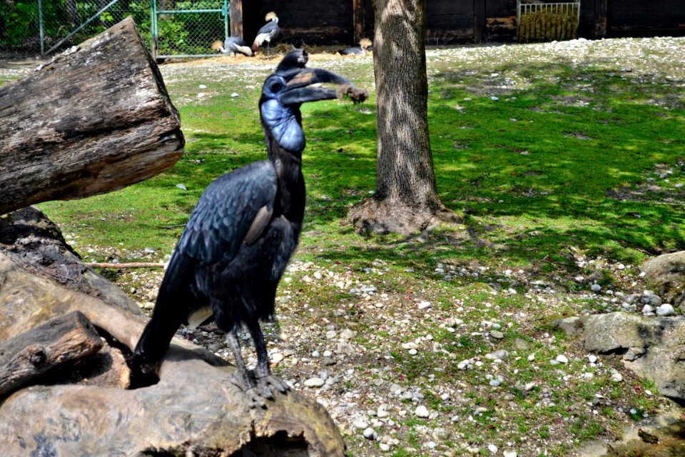 tierpark