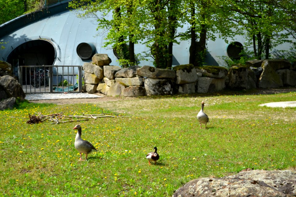 tierpark