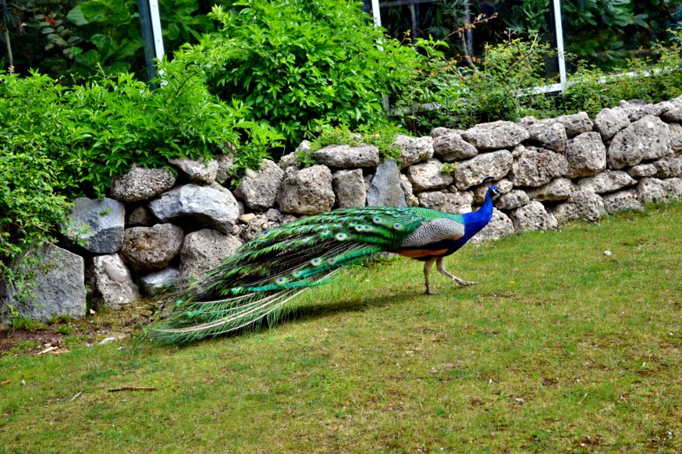 tierpark