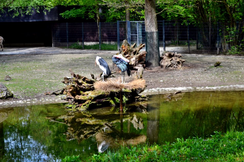 tierpark