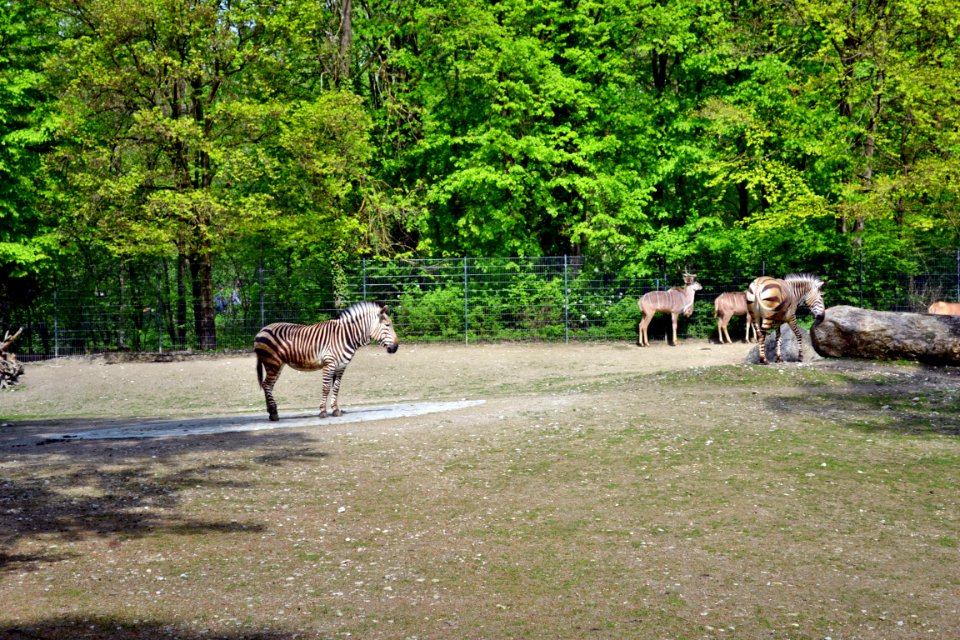 tierpark