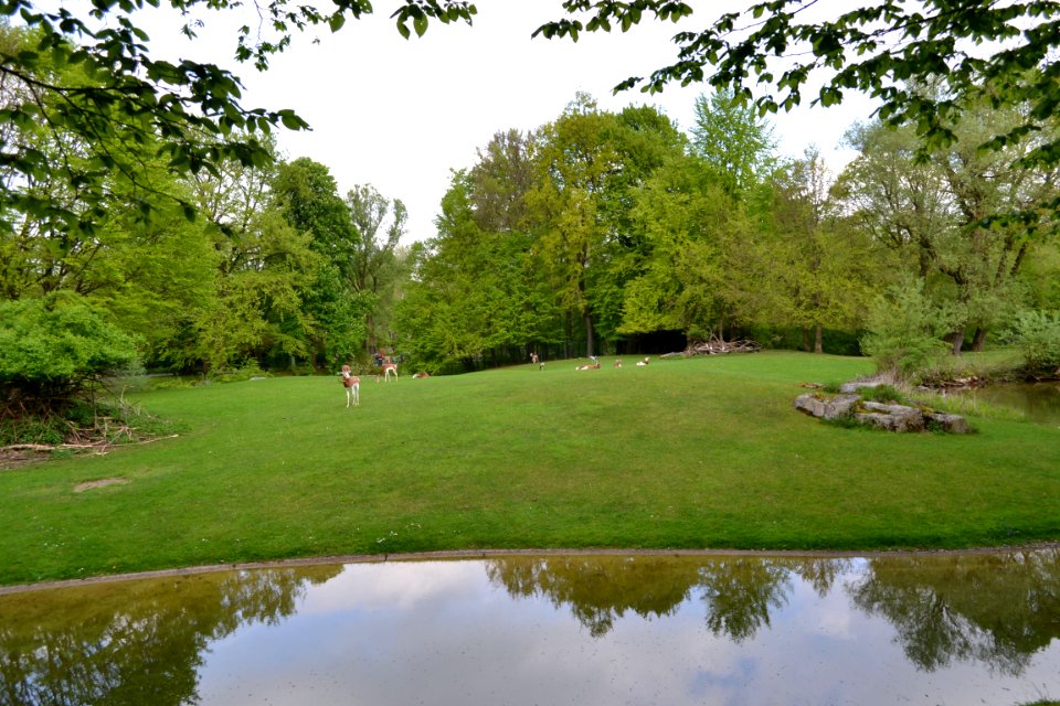 tierpark