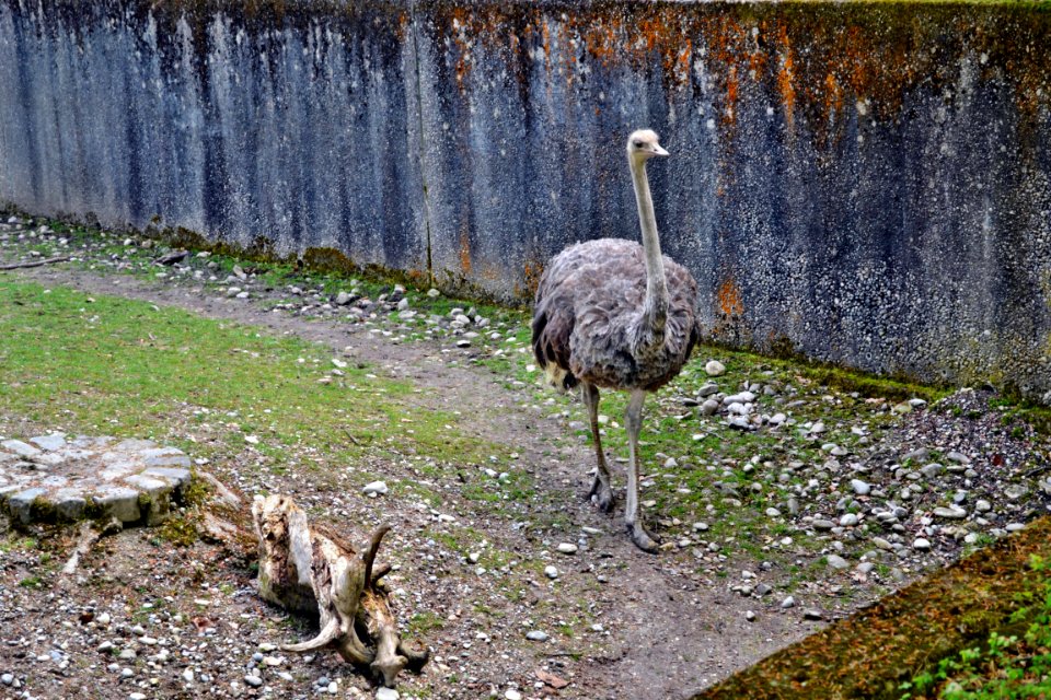tierpark