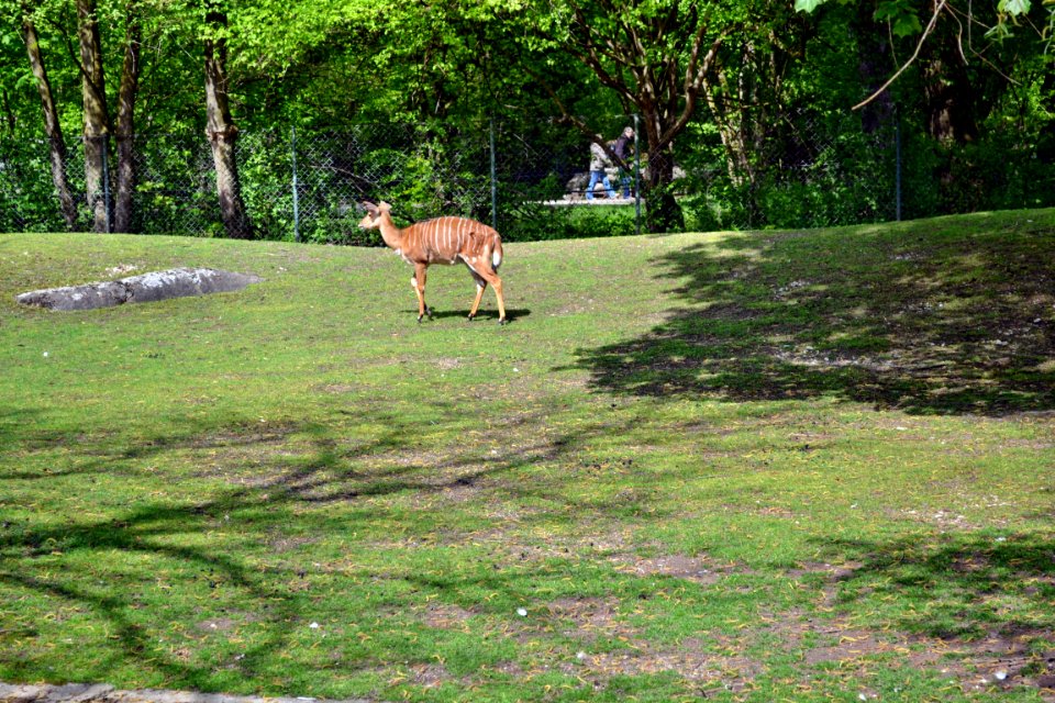tierpark