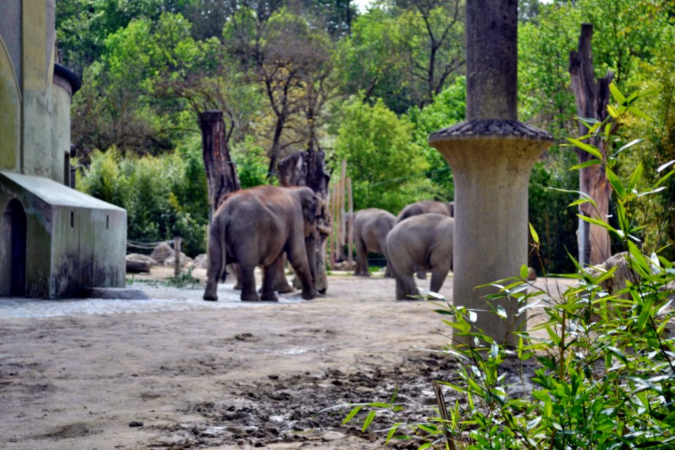 tierpark