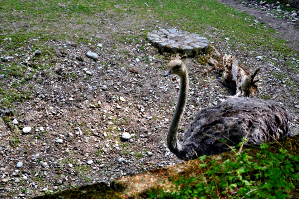 tierpark