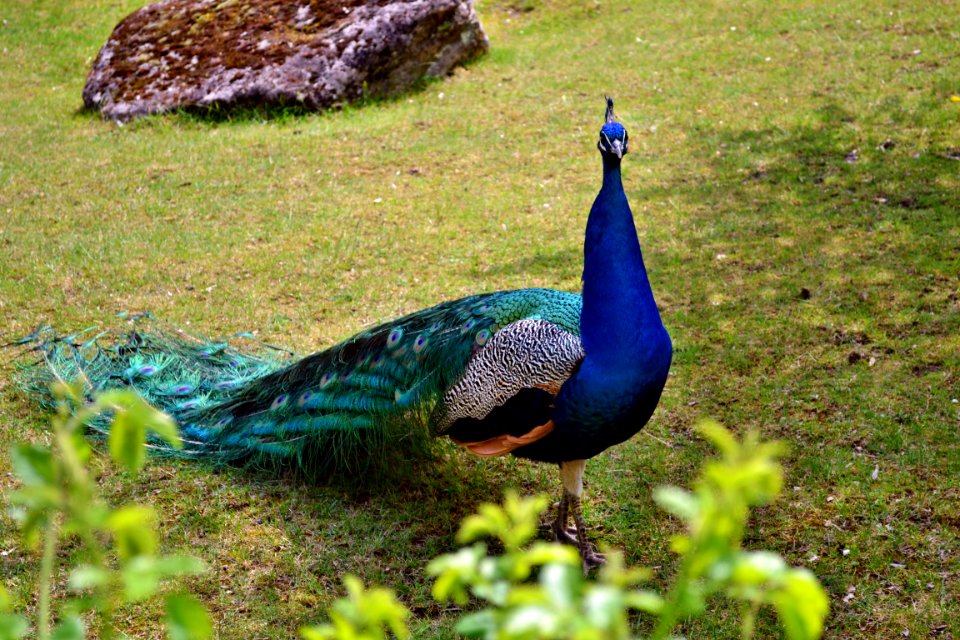 tierpark