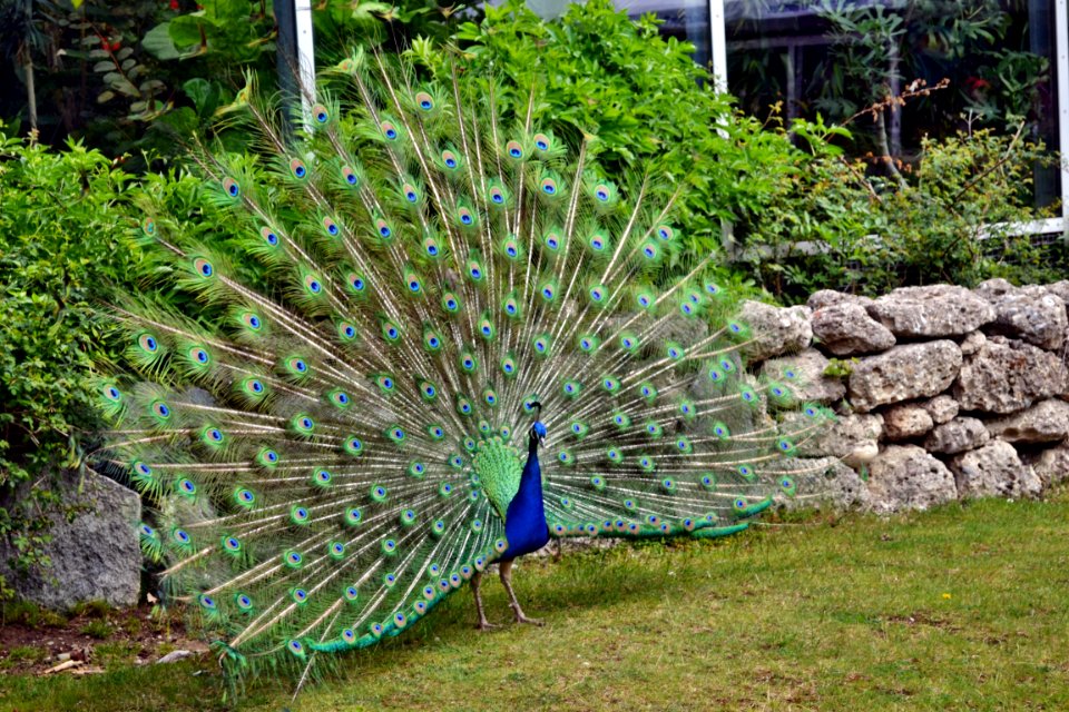 tierpark