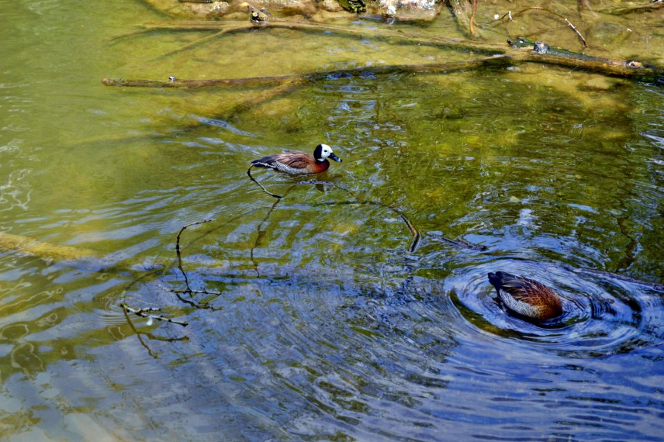 tierpark