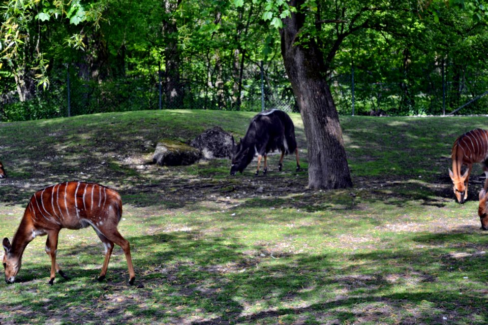 tierpark