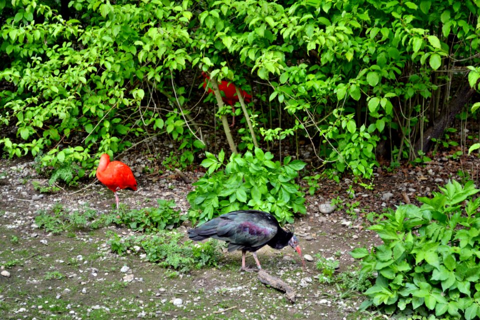 tierpark