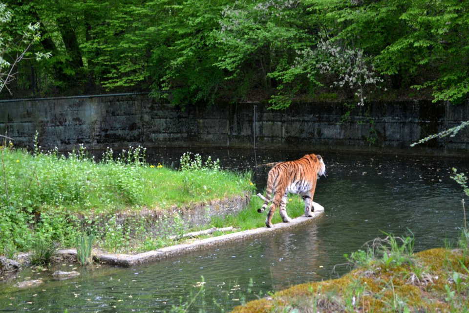 tierpark