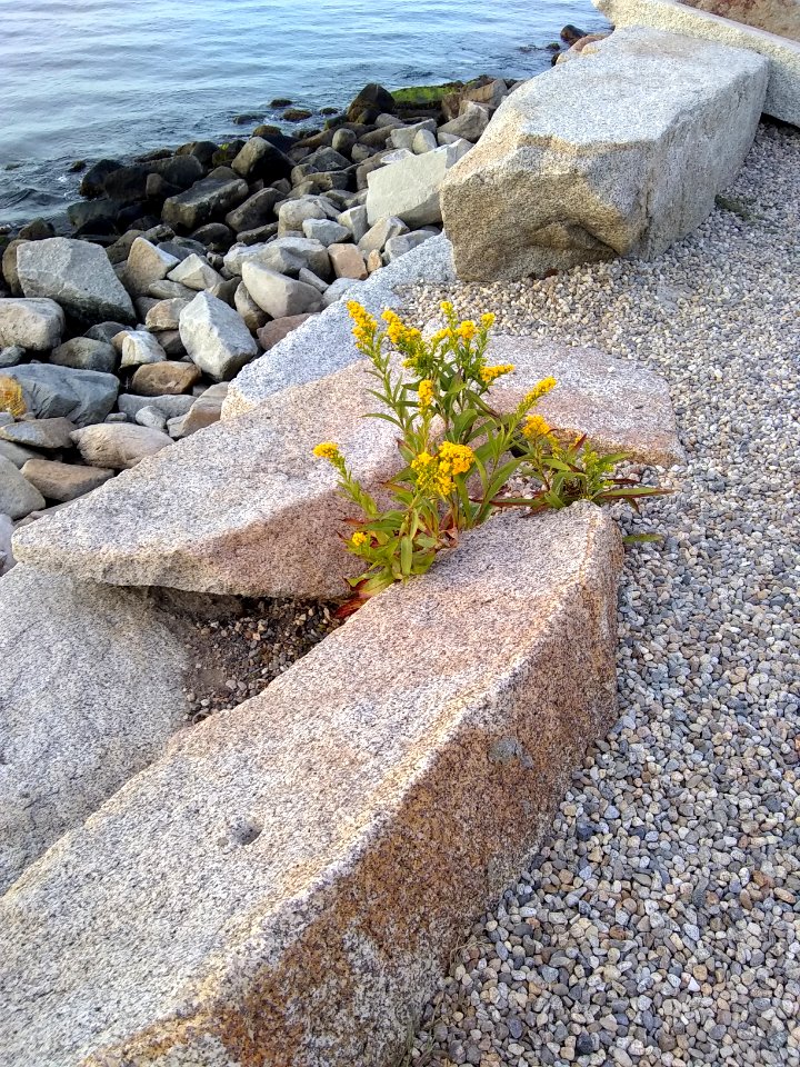 IMG 20170828 190402464