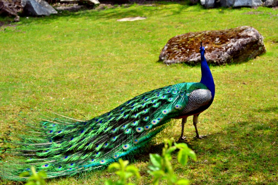 tierpark