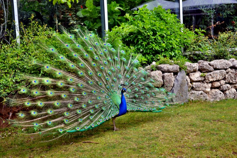 tierpark
