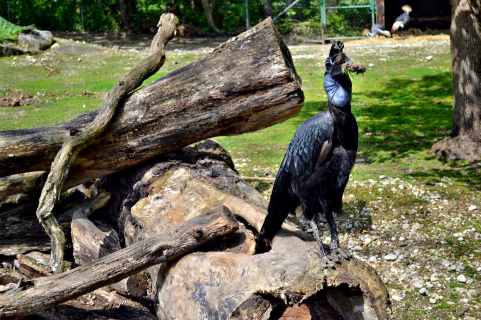 tierpark