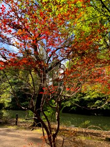 Musashiseki Park in Nerima-ku