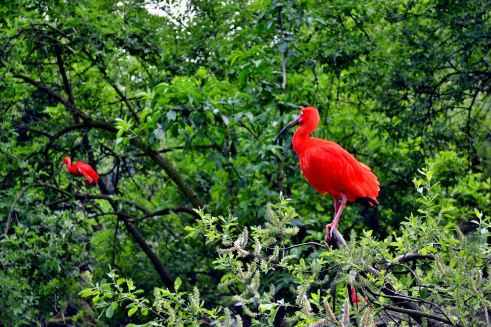 tierpark