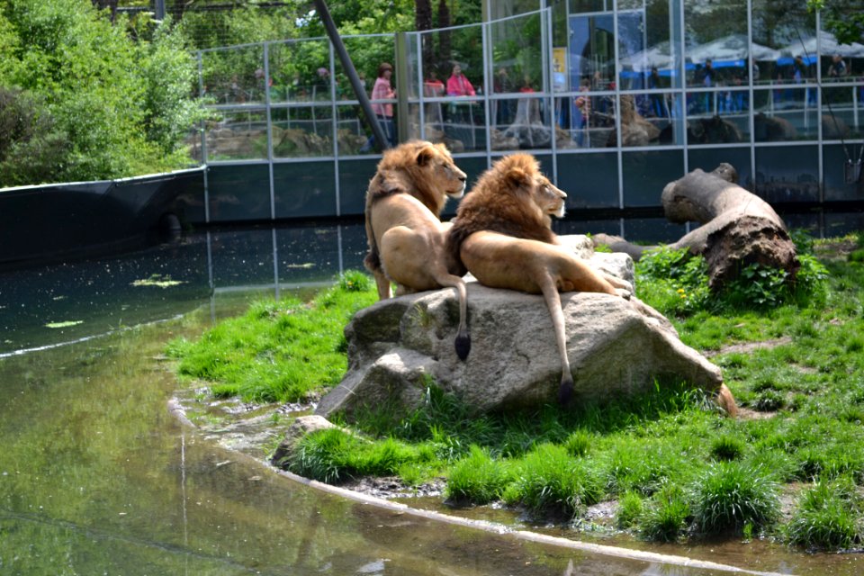 tierpark
