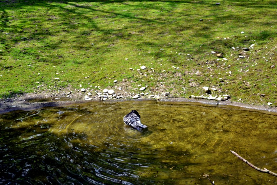 tierpark