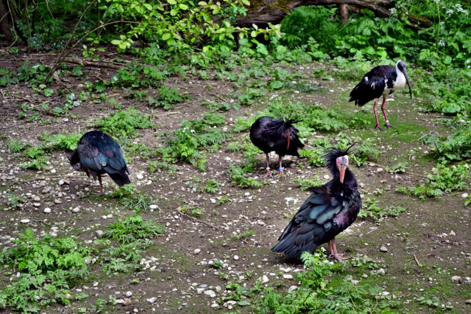tierpark