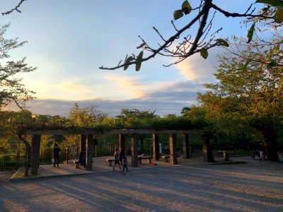 Senzokuike Park in Ota-ku