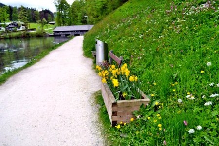 Königssee