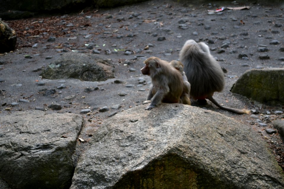 tierpark