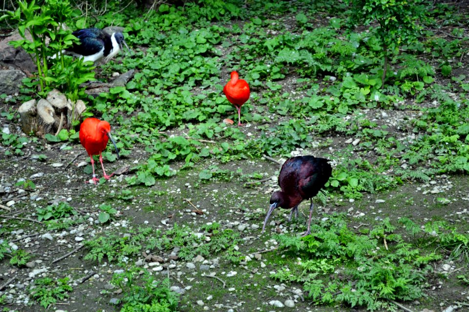 tierpark