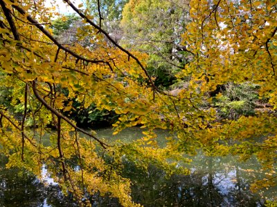 Musashiseki Park in Nerima-ku