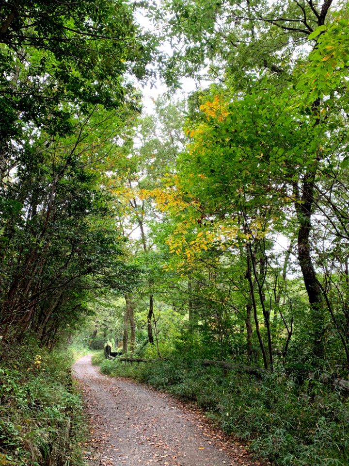 Noyamakita-Rokudoyama Park in Mitsugi, Musashimurayama-shi
